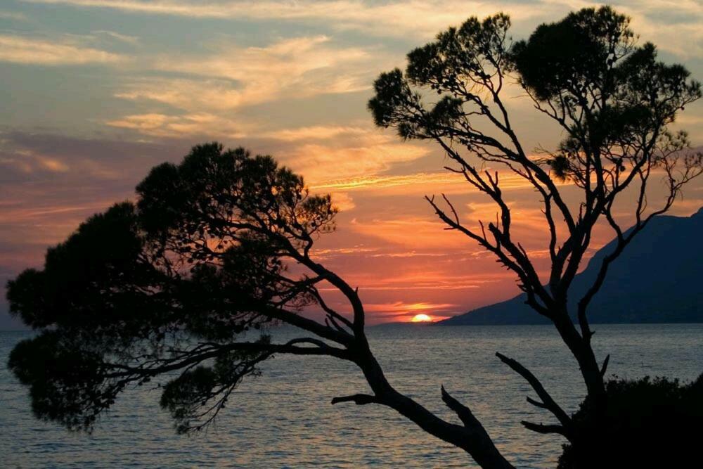 Apartmani Milka I Jozo Omiš Exteriör bild