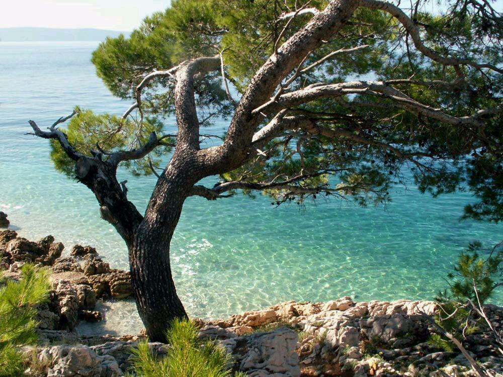 Apartmani Milka I Jozo Omiš Exteriör bild